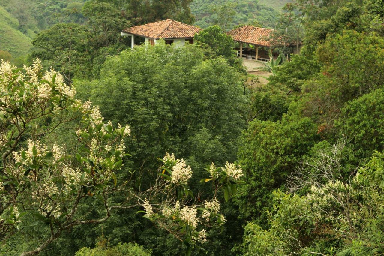 Eco Hotel El Columpio ซาเลนโต ภายนอก รูปภาพ