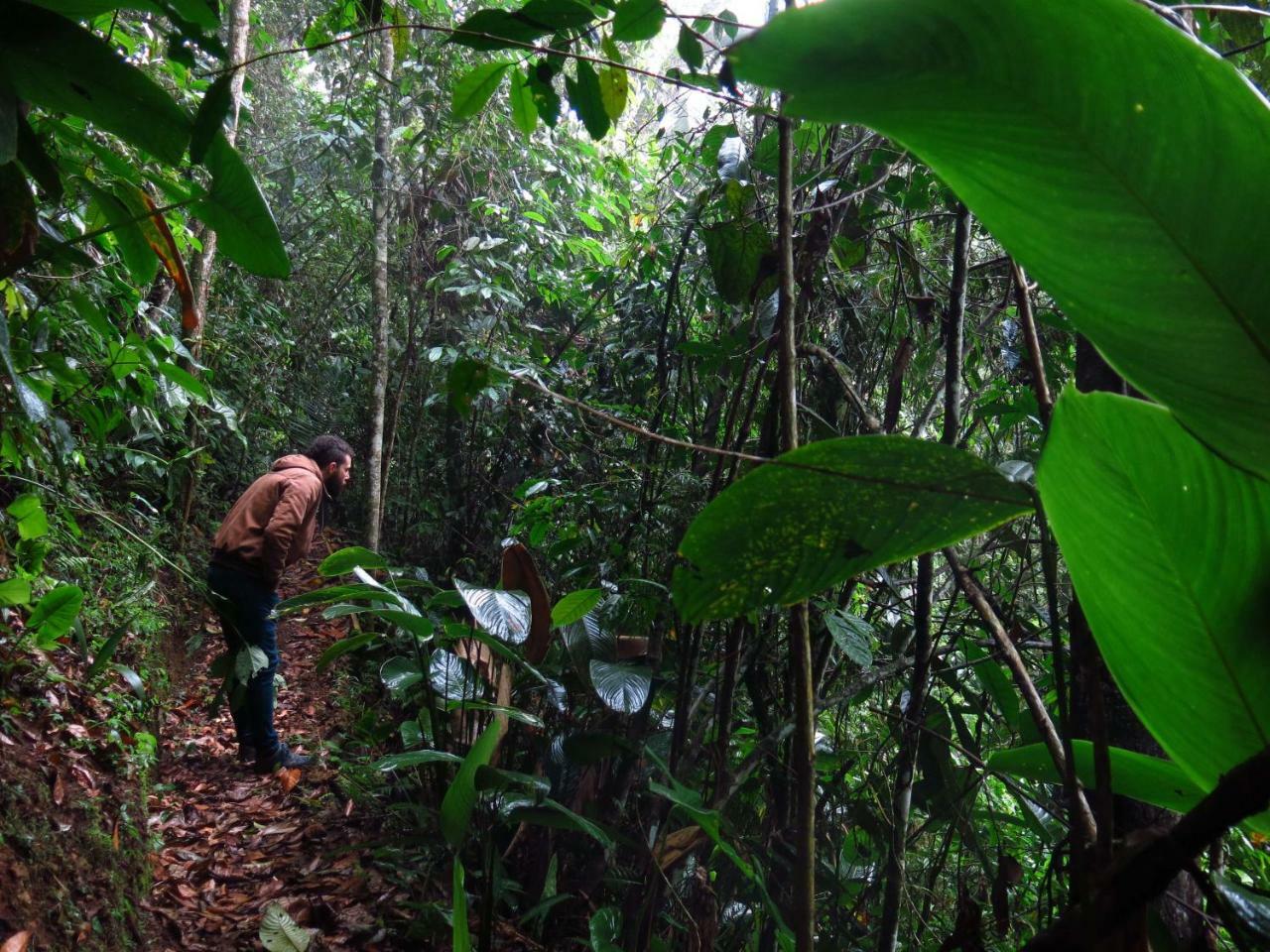 Eco Hotel El Columpio ซาเลนโต ภายนอก รูปภาพ