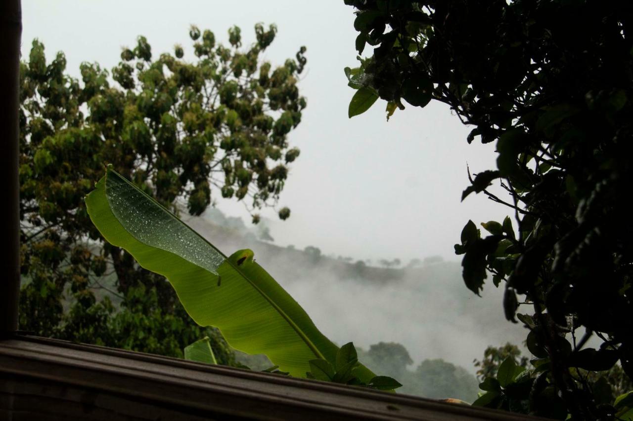 Eco Hotel El Columpio ซาเลนโต ภายนอก รูปภาพ